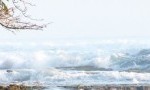 cropped-cropped-100B5726-300x90